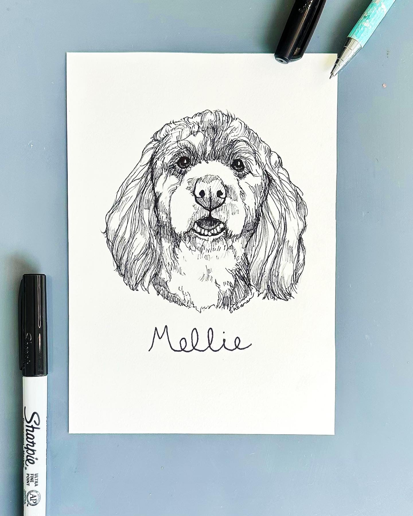 Pet Sketches – Painted Paw Studio - Main Image