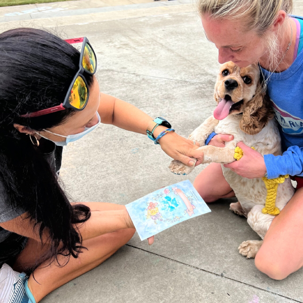 Paw Print Art Supplies