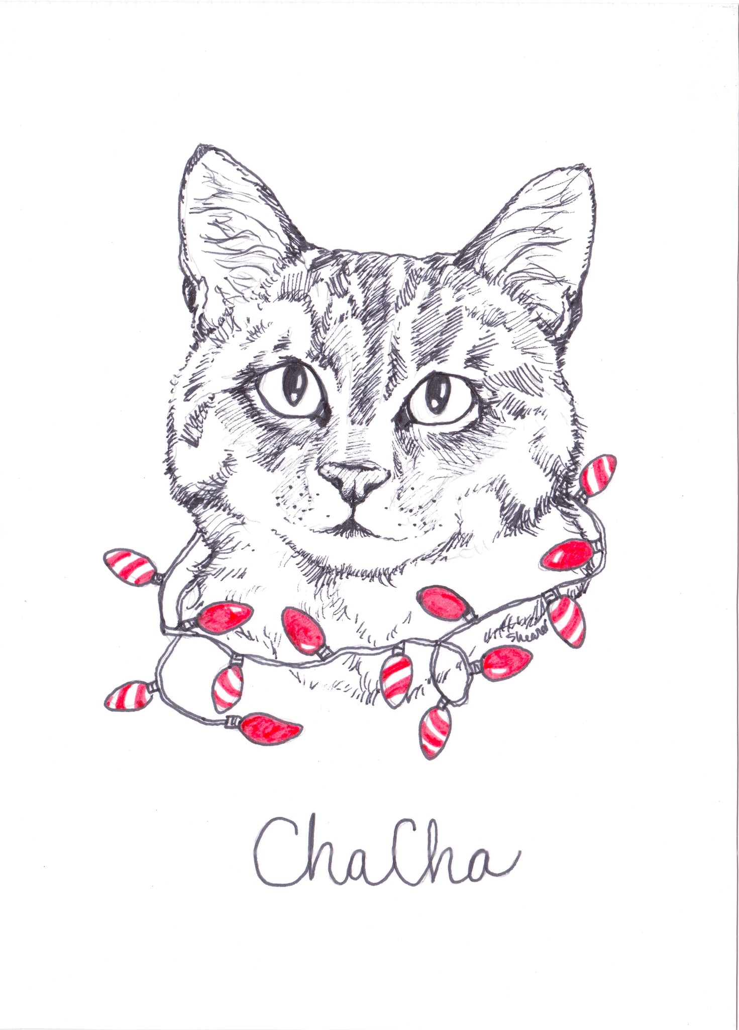 Christmas Ink Portraits