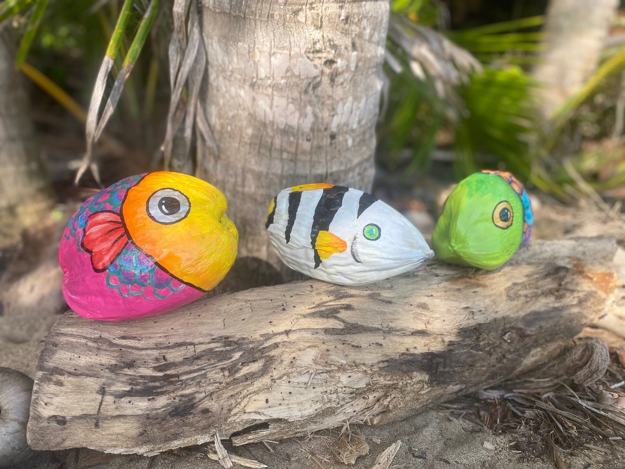 Paint Your Own Coconut Fish! Friday 11/24/23