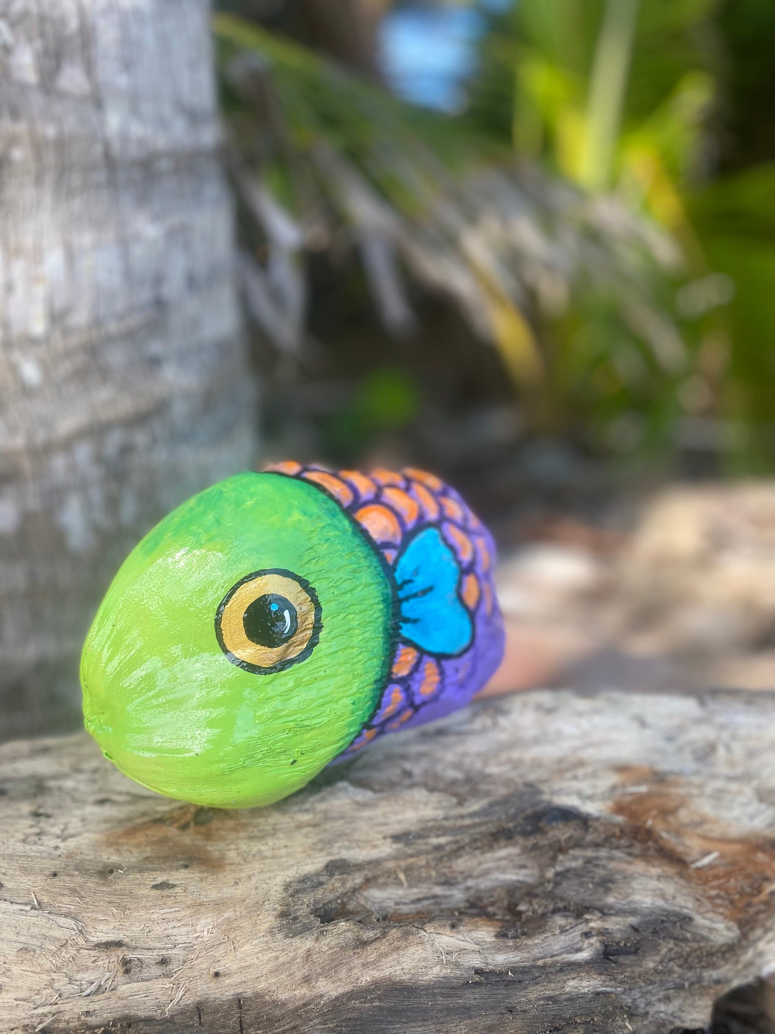 Paint Your Own Coconut Fish! Friday 11/24/23