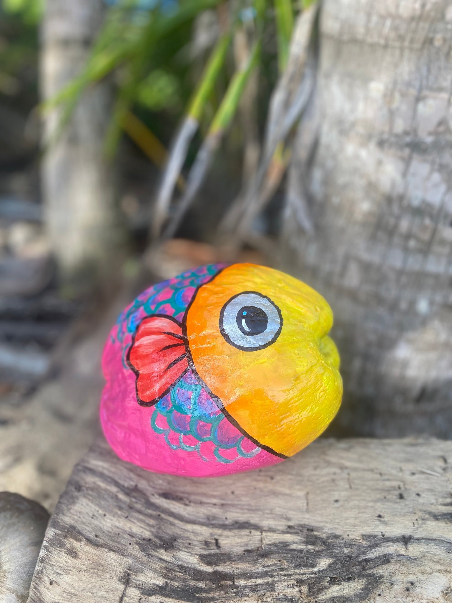 Paint Your Own Coconut Fish! Friday 11/24/23
