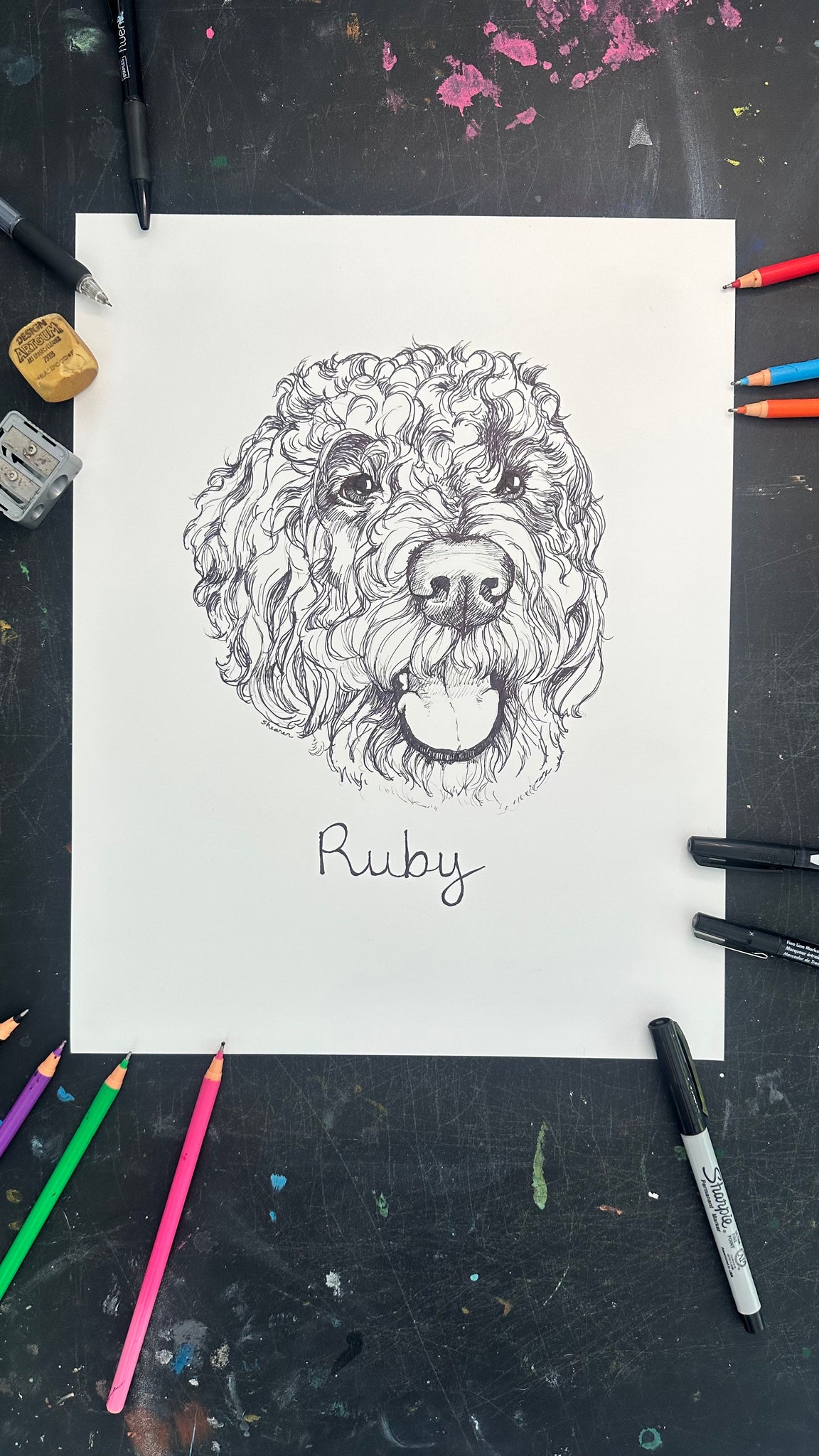 Pet Sketches