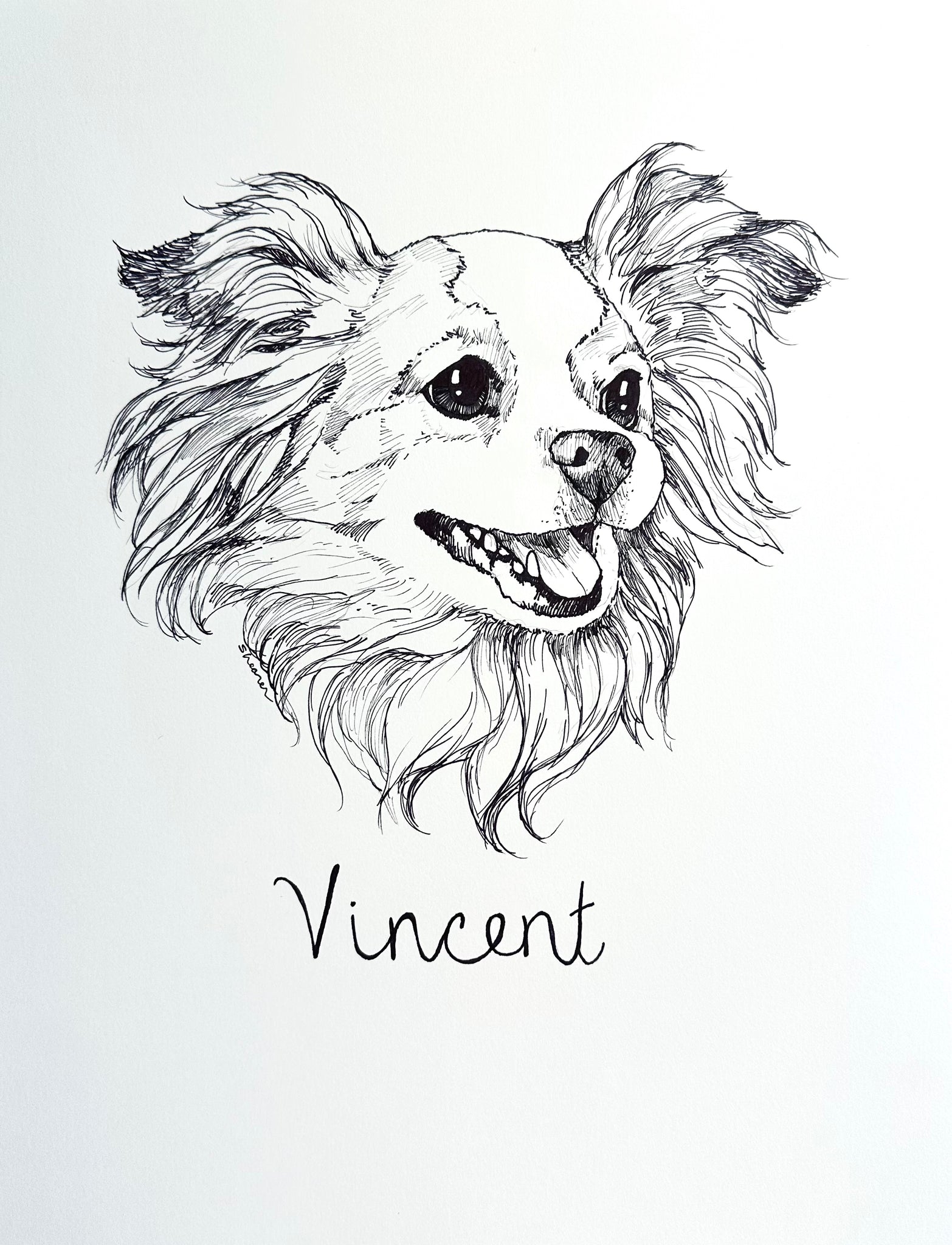 Pet Sketches