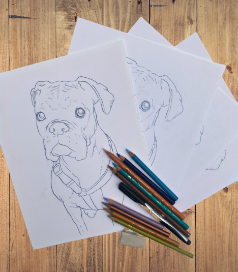 Portrait Coloring Pages