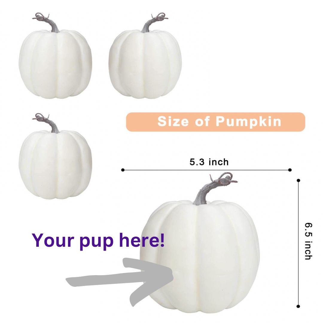 Custom Pup-kins! 🎃