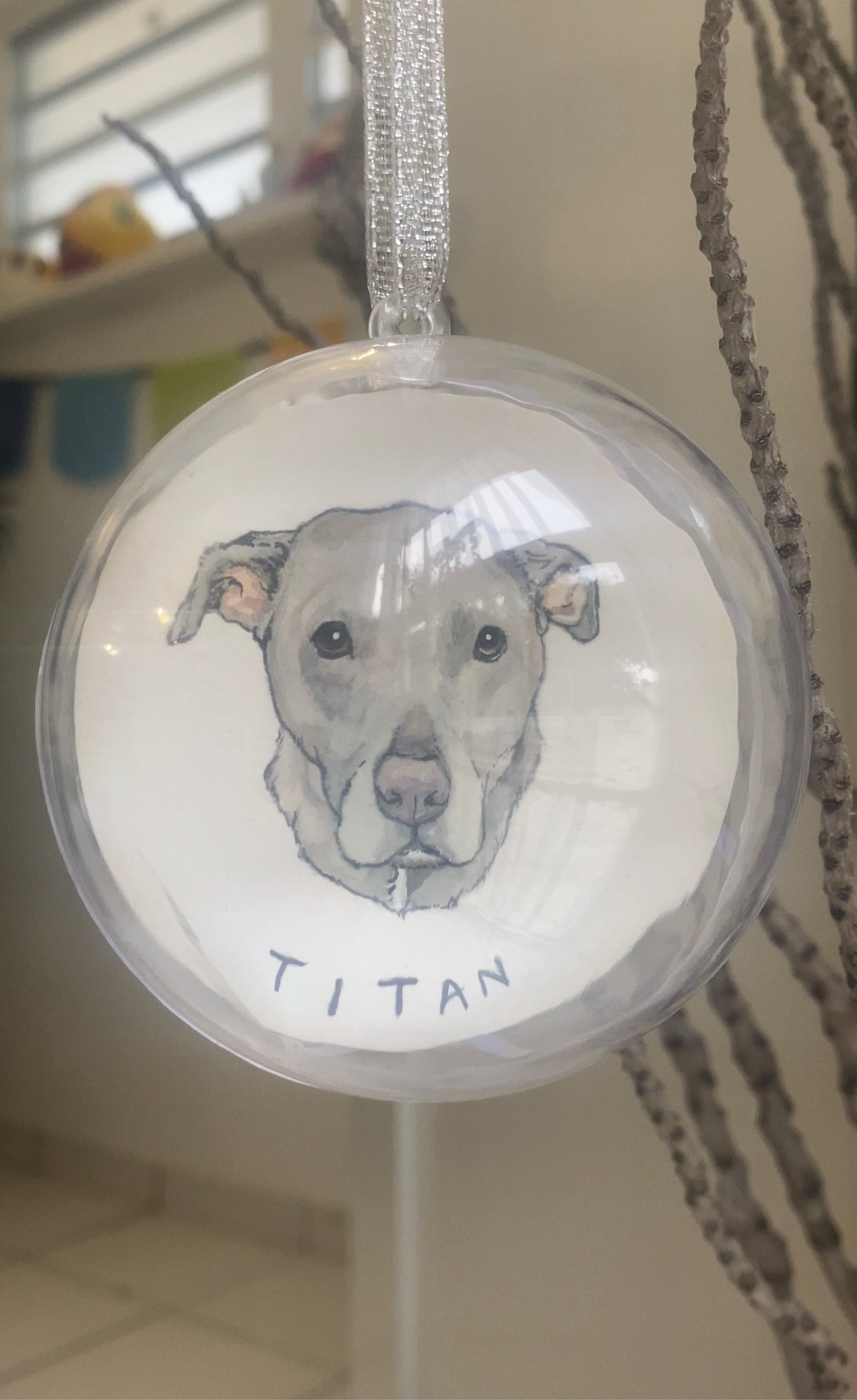 Pet Portrait Ornaments